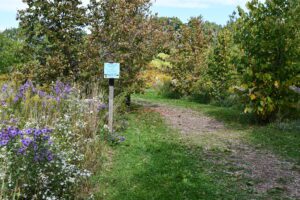 International Friendship Trail Openings