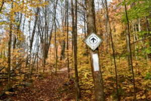 Bruce Trail Day 2024