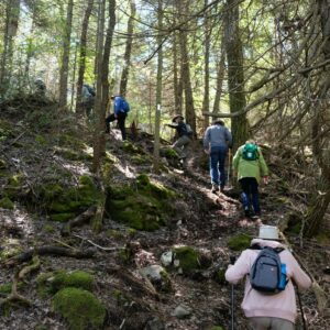 End-to-End and Challenge Hikes 2024